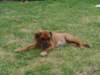 doriwelpen044_small.jpg
