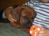 dscn3660klein_small.jpg
