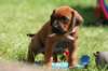 fotosmichele009_small.jpg