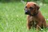 fotosmichele011_small.jpg