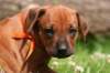 fotosmichele015_small.jpg