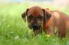 fotosmichele017_small.jpg