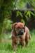 fotosmichele019_small.jpg
