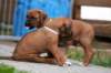 fotosmichele025_small.jpg