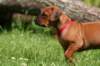 fotosmichele043_small.jpg