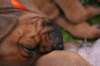 fotosmichele061_small.jpg