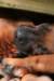 fotosmichele065_small.jpg