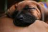 fotosmichele066_small.jpg