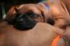 fotosmichele067_small.jpg
