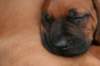fotosmichele073_small.jpg