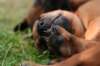 fotosmichele078_small.jpg