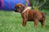 fotosmichele097_small.jpg