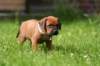 fotosmichele105_small.jpg