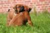 fotosmichele106_small.jpg