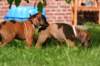 fotosmichele108_small.jpg