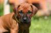 fotosmichele109_small.jpg