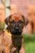 fotosmichele111_small.jpg