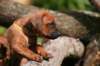 fotosmichele119_small.jpg