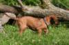 fotosmichele126_small.jpg