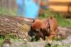 fotosmichele128_small.jpg