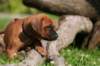 fotosmichele129_small.jpg