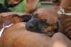fotosmichele137_small.jpg