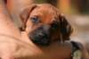 fotosmichele149_small.jpg