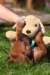 fotosmichele154_small.jpg