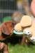 fotosmichele157_small.jpg