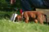 fotosmichele173_small.jpg