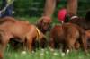 fotosmichele176_small.jpg