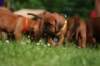 fotosmichele177_small.jpg