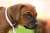 fotosmichele205_small.jpg
