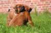 fotosmichele263_small.jpg