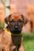 fotosmichele267_small.jpg