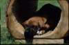 img019959_small.jpg