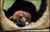 img019961_small.jpg