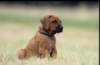 img019963_small.jpg