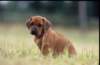 img019971_small.jpg