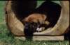 img019978_small.jpg