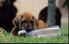 img019979_small.jpg