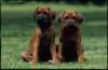 img019988_small.jpg
