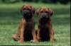 img019989_small.jpg