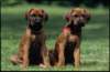img019991_small.jpg