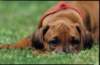img020000_small.jpg