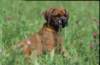 img020003_small.jpg