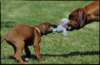 img020019_small.jpg