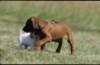 img020038_small.jpg