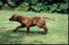 img020040_small.jpg