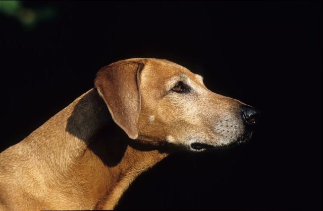 img020043.jpg